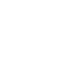 Tommaso Vaccari's GitHub profile